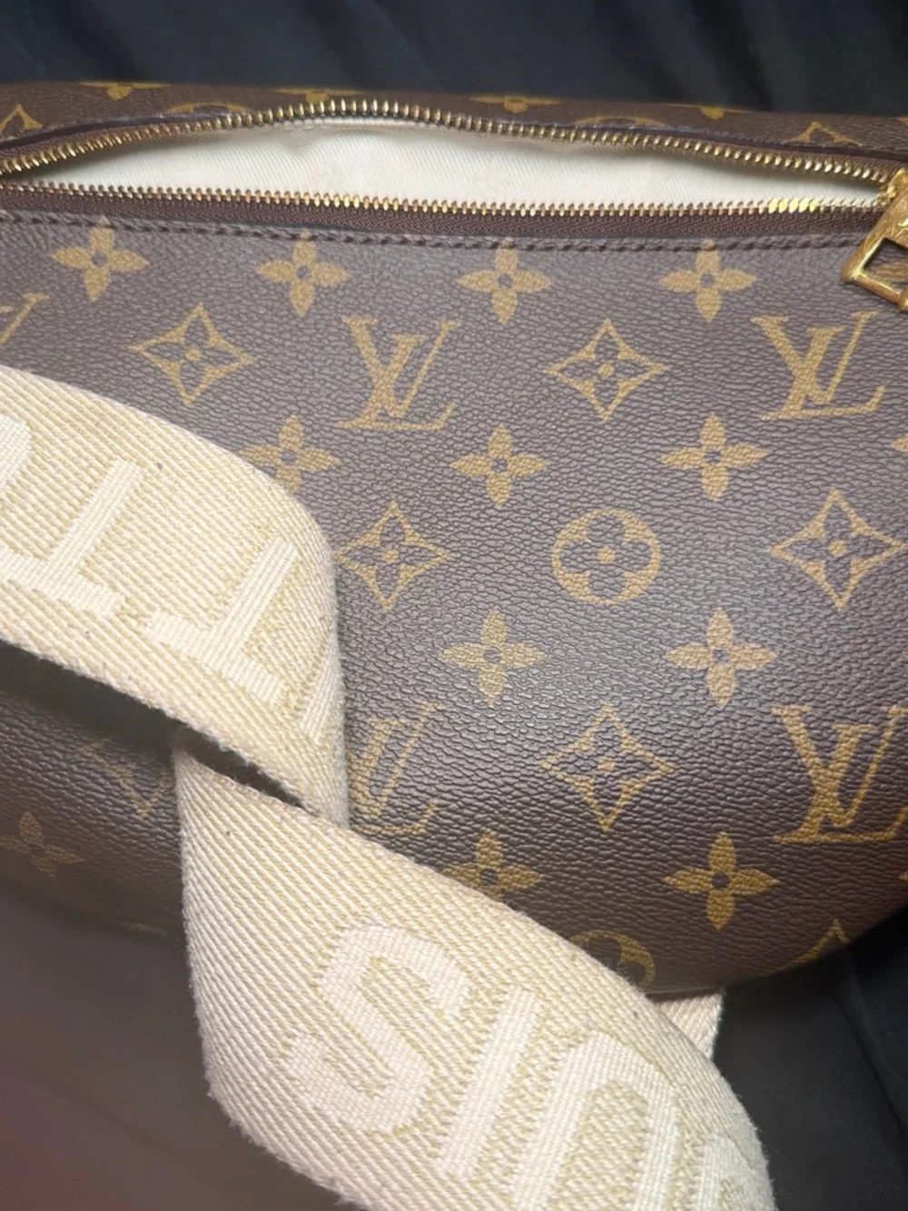 Louis Vuitton Monogram High Rise Bum Bag